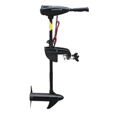Electric Trolling Motor