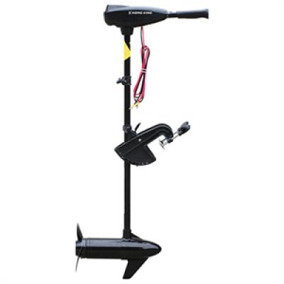 Electric Trolling Motor