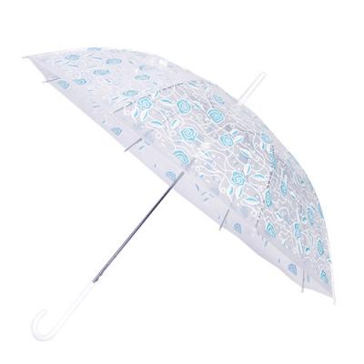 Transparent umbrella